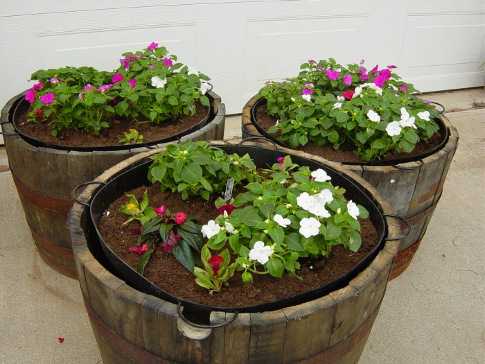 Buy the patent: PORTABLE PLANTER (Patent for sale)