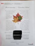 Picture for patent available