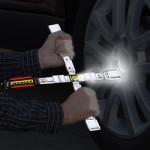 Picture for patent available